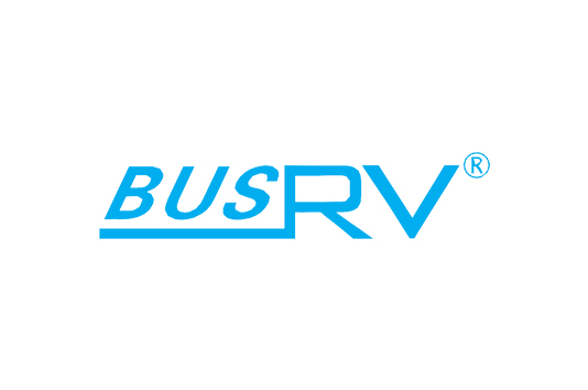 2015 US CES consumer Electronics Show